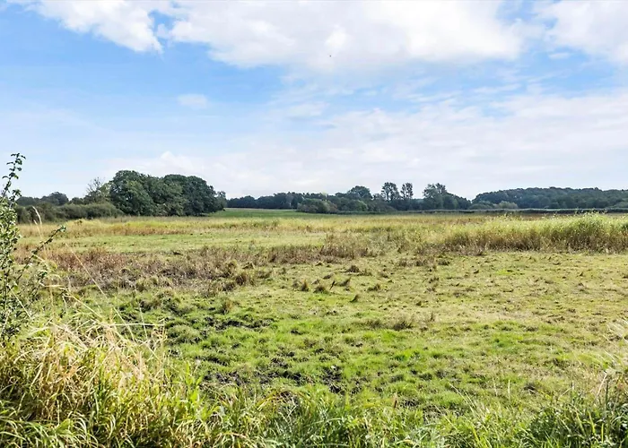 Fy207-brenderup-fyn-hyttevej-6 * Vedelshave